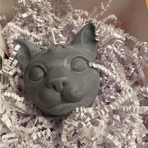 Third eye cat - Picture 1 of 1